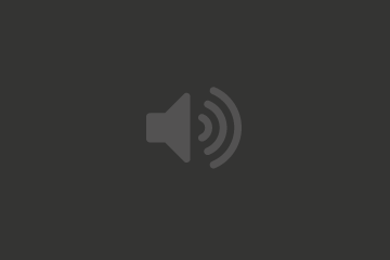 Audio Sample